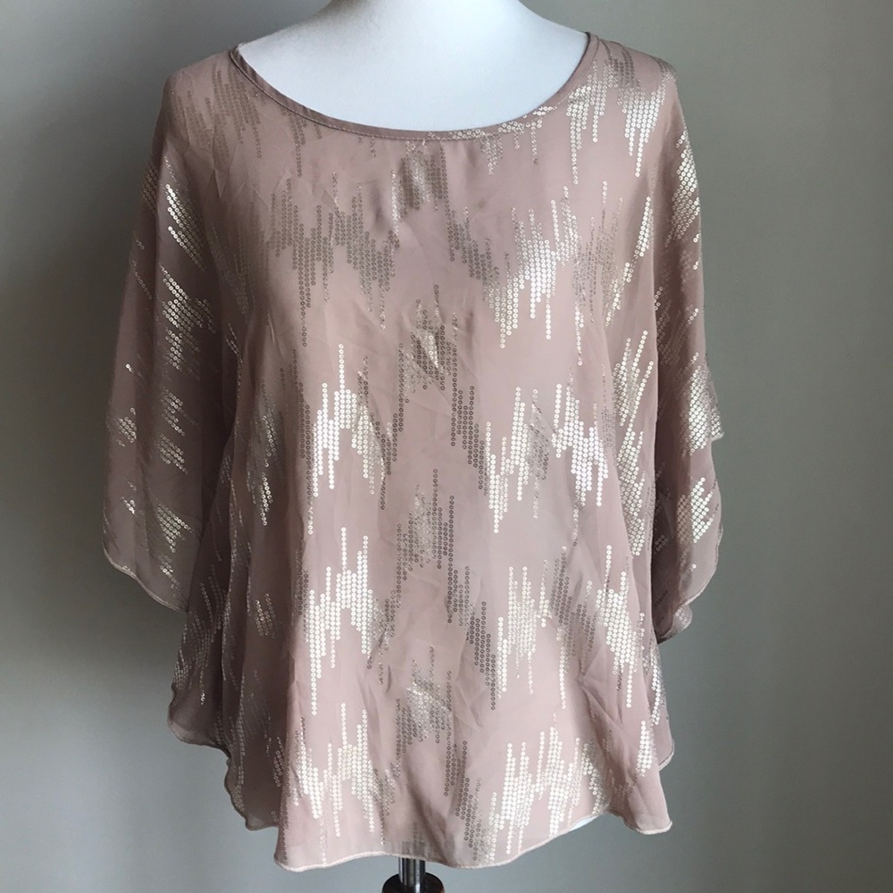 Blue Rair  |  Francesca’s Beautiful Top! Size Med